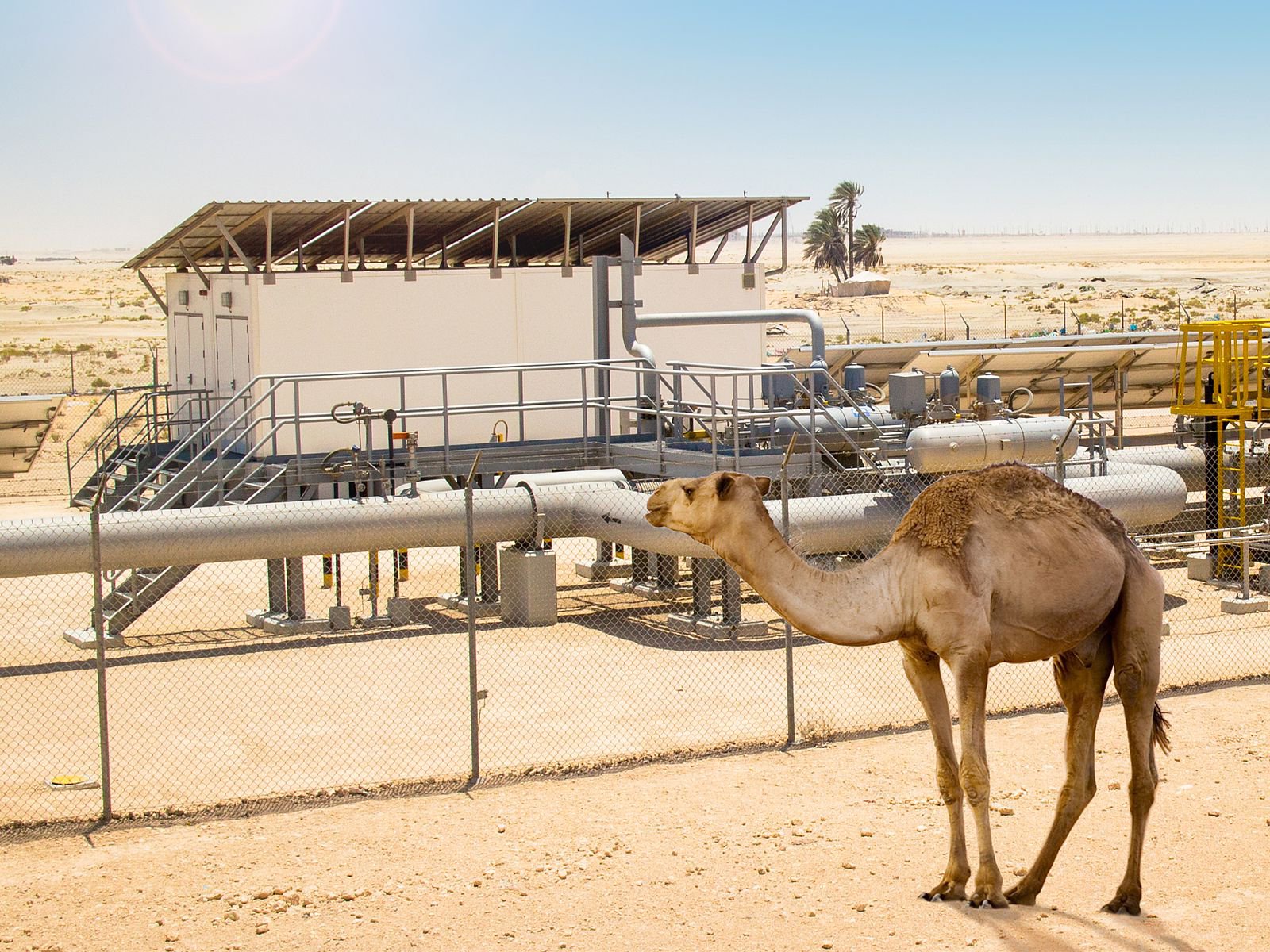 Extremely hot climate - INTERTEC-Hess GmbH