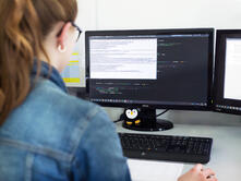 Fachinformatiker für Systemintegration (m/w/d)